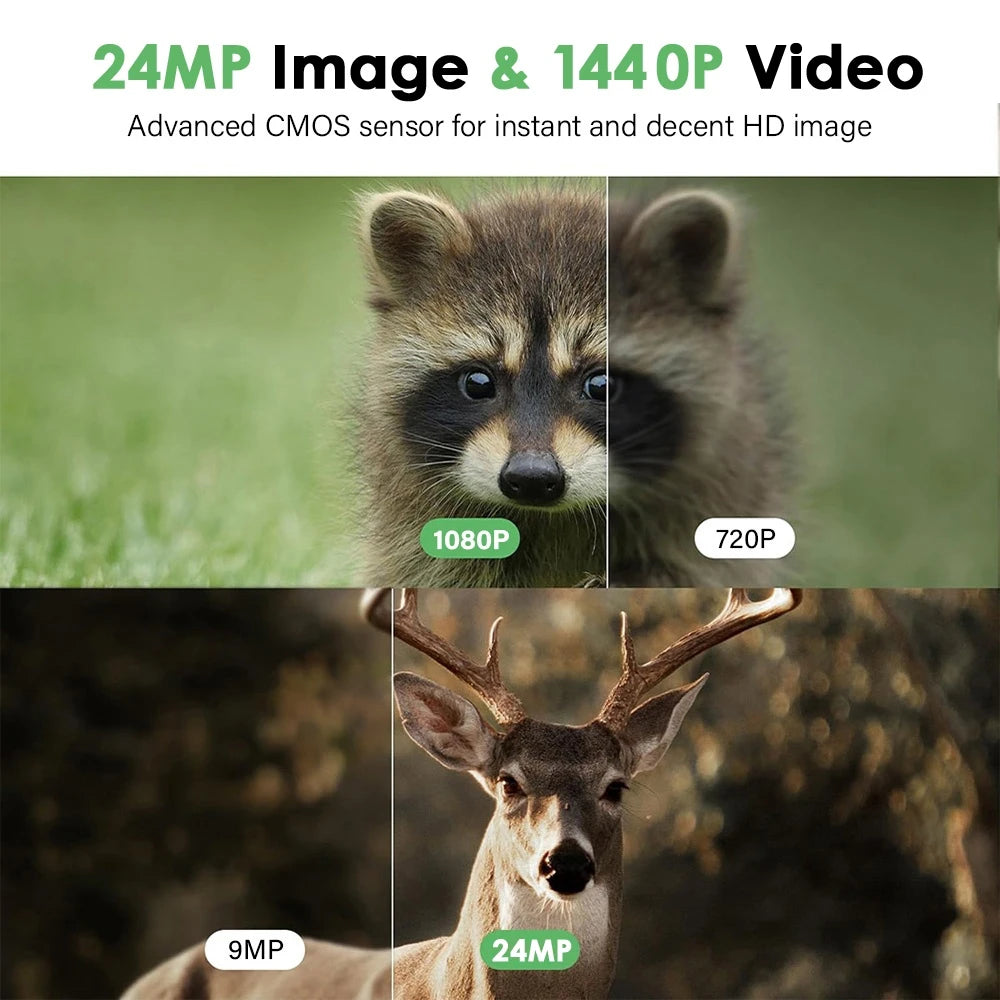Waterproof Mini HD Trail Camera With 940nm Infrared Night Vision