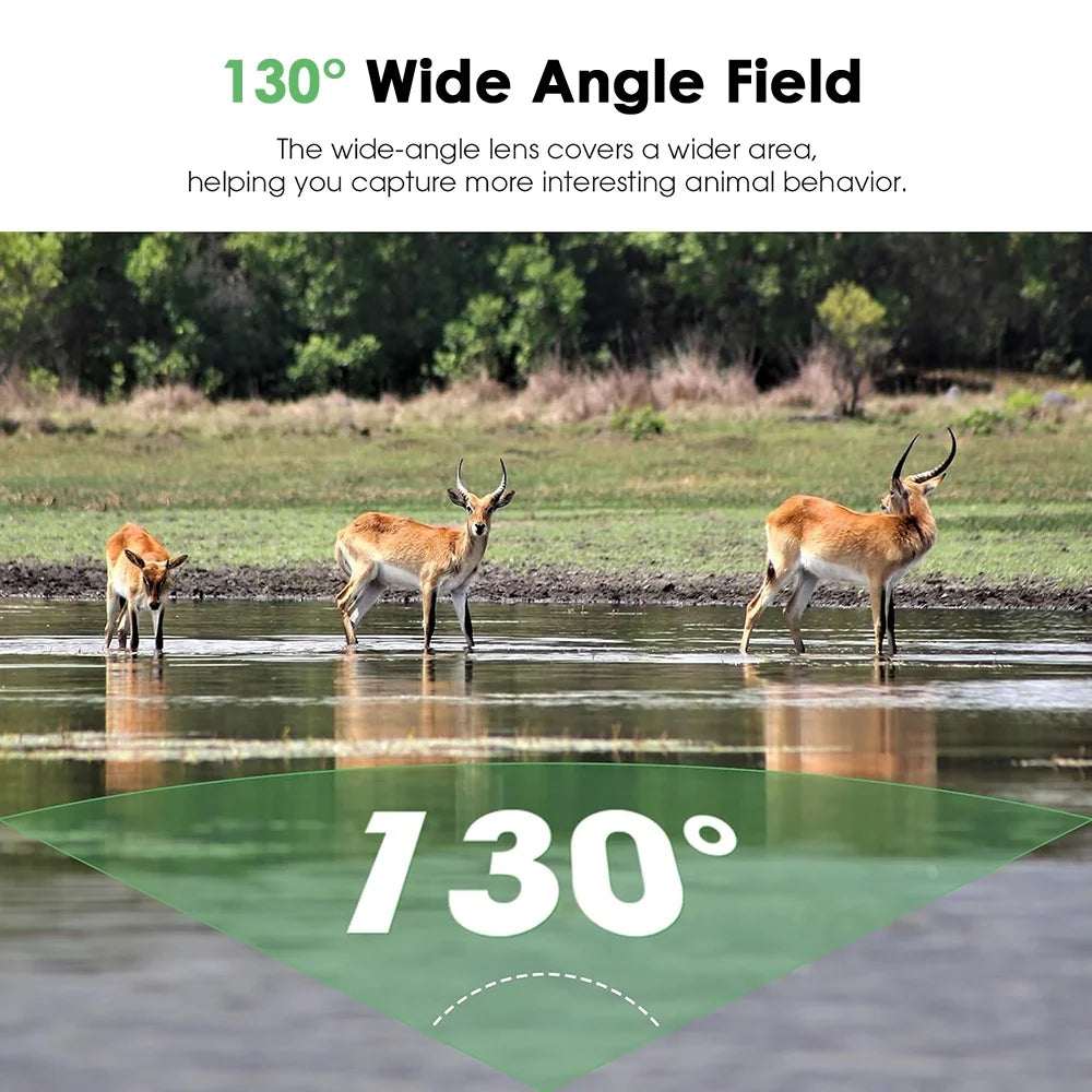 Waterproof Mini HD Trail Camera With 940nm Infrared Night Vision