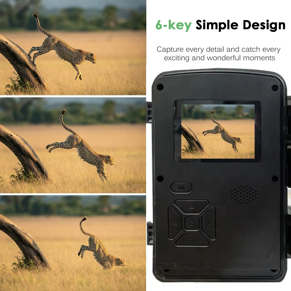 Waterproof Mini HD Trail Camera With 940nm Infrared Night Vision